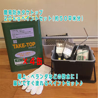 【タケトップ20kg×4缶ペイントセット】(約50平米分)