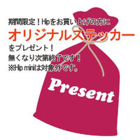 Hip エッグシェル(2分艶) 3.8L 色ランクＭ,Ｄ COLORWORKS カラーワークス 屋内用水性ペンキ