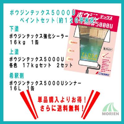 ボウジンテックス5000Uペイントセット(約120平米分)