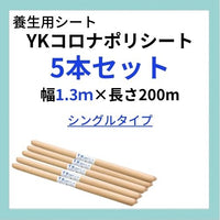 【法人様限定・お得な5本セット】YKコロナ・ポリシート 幅1.3m×長さ200m(シングルタイプ)
